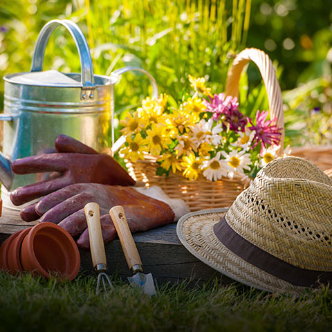 La tenue du jardinier