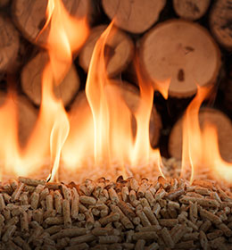 Combustible