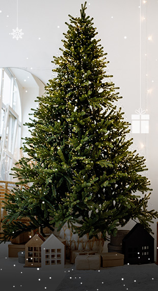Les sapins naturels