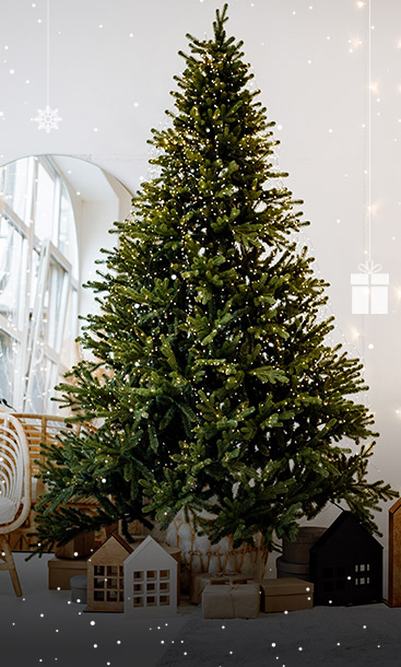 Les sapins naturels