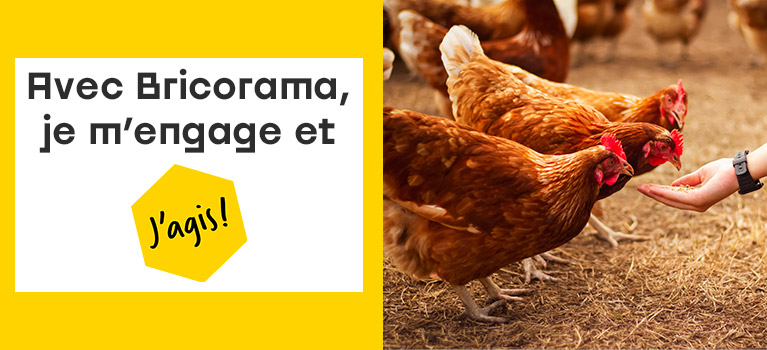 Avec Bricorama,je m'engage et j'agis