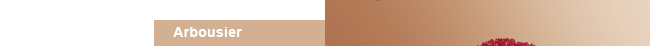 Skin Illusion Velvet
